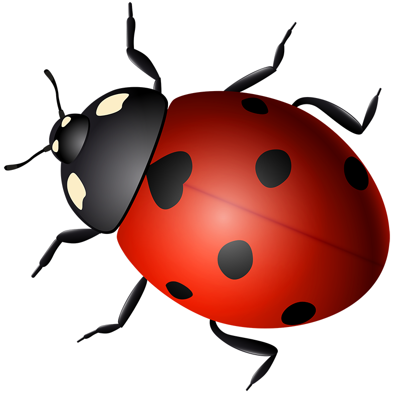 Abnormal process execution